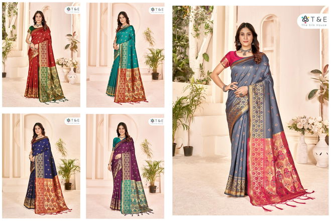 Aaradhya By T And E Party Wear Sarees Catalog